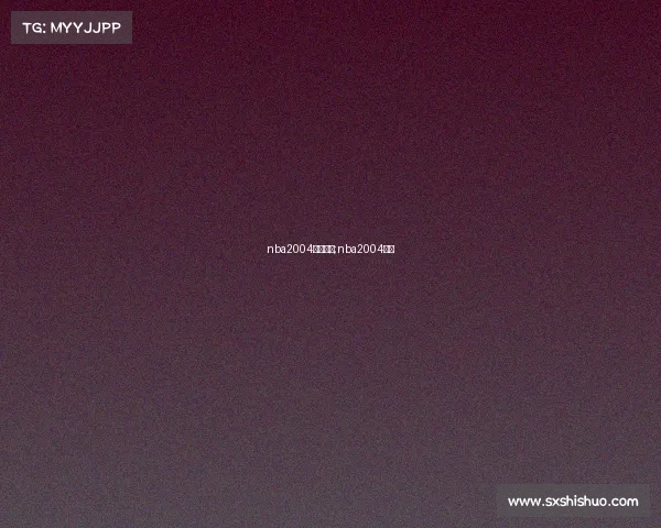 nba2004全部赛事;nba2004赛季