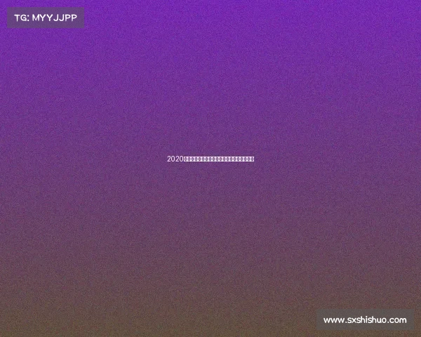 2020年全国散打王赛事年度盛典巅峰之战王者归来